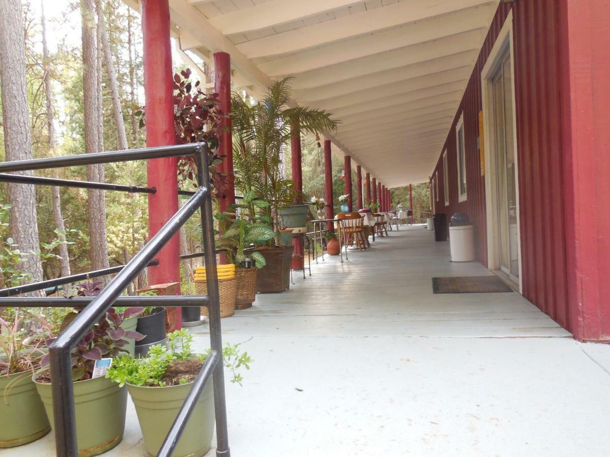 Yosemite Paradise Inn Coulterville Luaran gambar